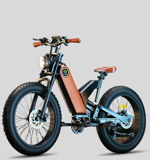 Electric Bicycle (Off-road model)